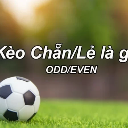 Kèo Odd Even là gì? Chiến thuật đặt Kèo Odd/Even hiệu quả