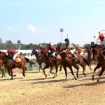 cách cá cược đua ngựa